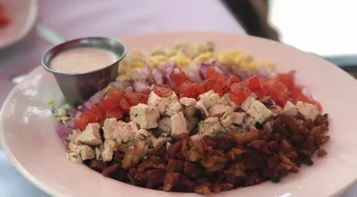 Pet-Friendly Patio Review