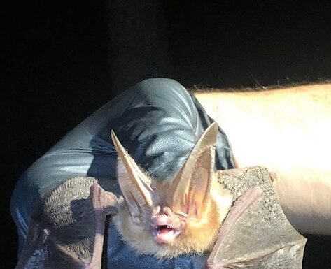 Changing Ancient Views