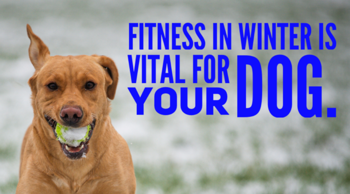 Interactive Exercise