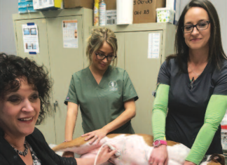SPOTLIGHT: Dr. Melinda Upton Giving Pet Cancer Patients A Fighting Chance
