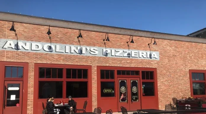 Pet-Friendly Patio Review: