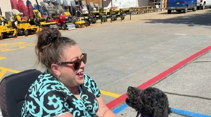 Therapetics Service Dogs