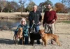 The Best Dogs Ever