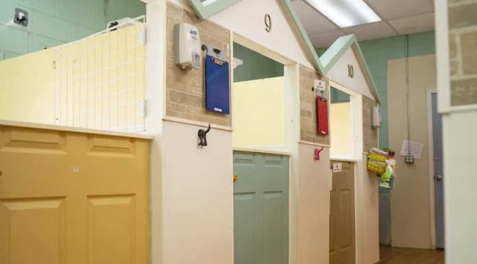 Dogville Daycare & Boarding