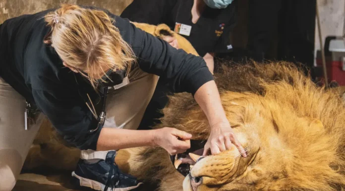 PEEK BEHIND THE SCENES: Dr. Kay Backues