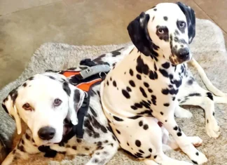 A FUNNY THING HAPPENED ON THE WAY TO GOOD-BYE