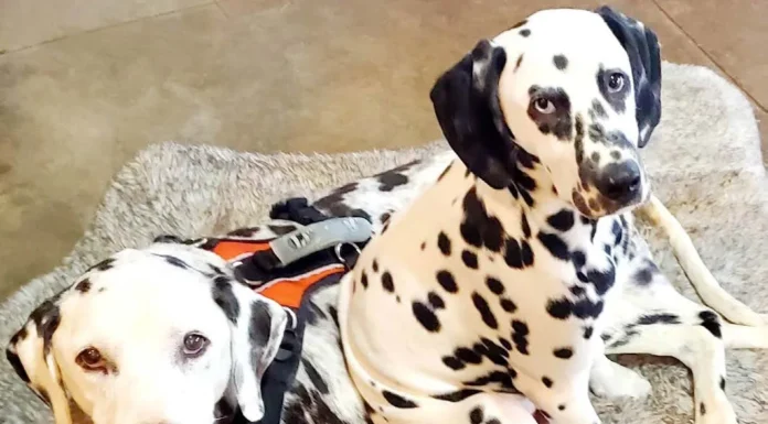 A FUNNY THING HAPPENED ON THE WAY TO GOOD-BYE