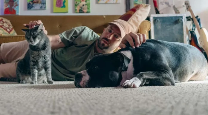 Creating Music and Art