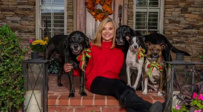 Halo, the Miracle Dog