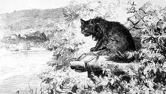 Literary Kitties Part II