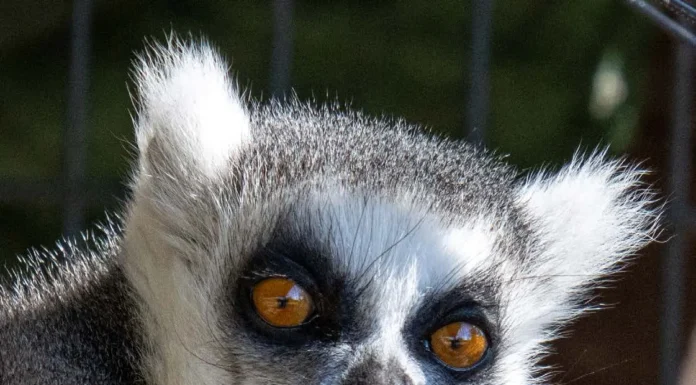 CARING FOR THOSE IN NEED