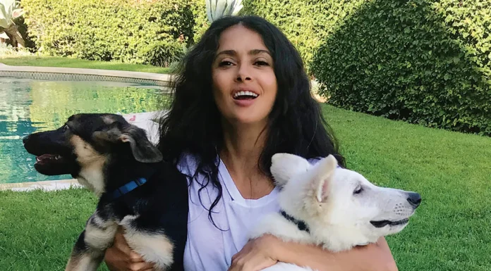 Stars TO THE RESCUE!