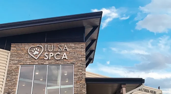 Something To Smile About