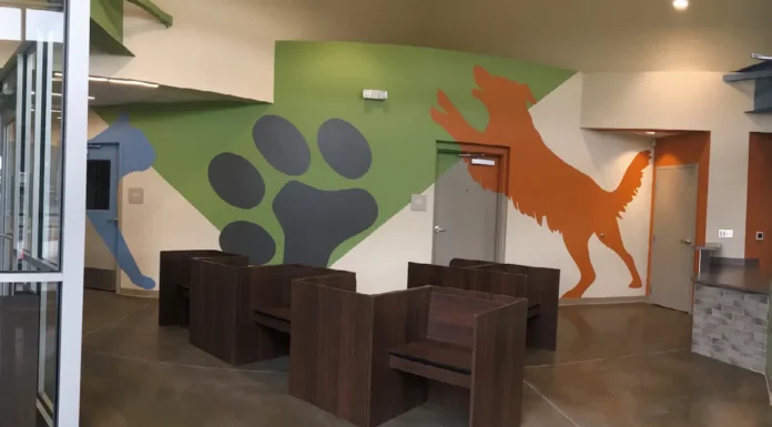 What’s New at the Tulsa SPCA?