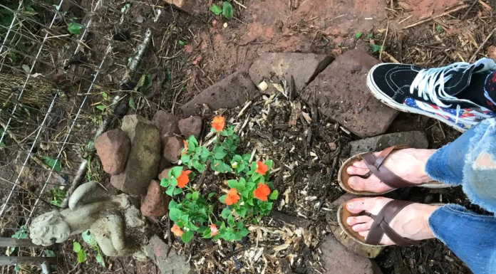 Sharing Precious Memories