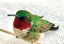 A Matter of Perspective