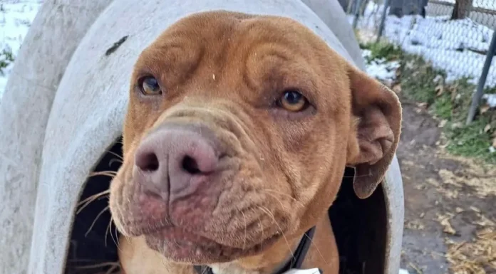 Working on the Unchain Gang