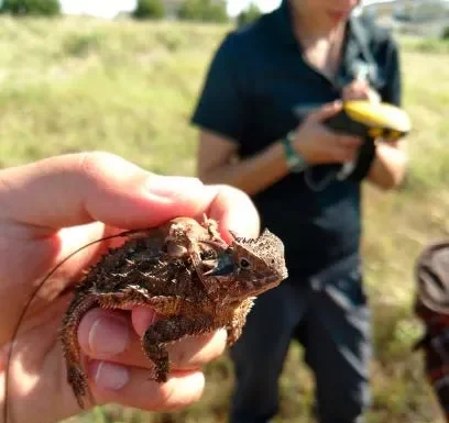 Combating Loss of Habitat