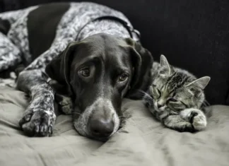 IT DOESN’T HAVE TO GET UGLY