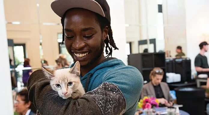 The Art of Animal Advocacy: The ANIMAL Conference 2021