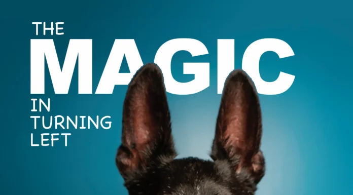 THE MAGIC IN TURNING LEFT