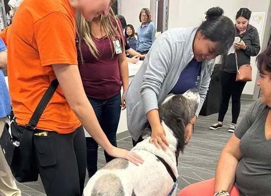 GREAT NEEDS, GREATER IMPACT