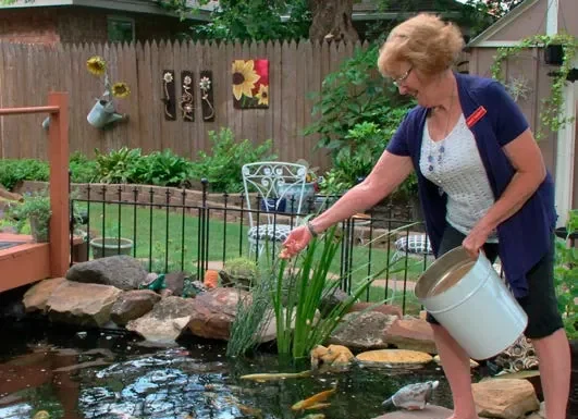 A Commitment to the Fish