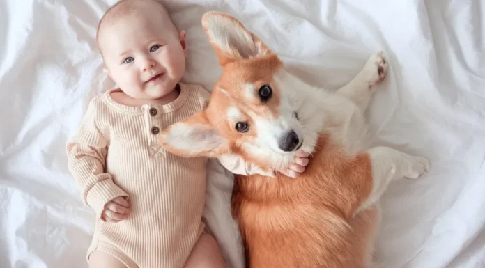 What To Expect When You’re Expecting