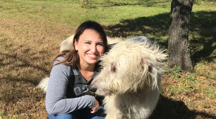 Network for Pets of Domestic Violence Victims: