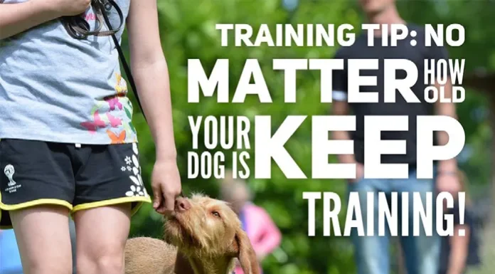 Making the Most of Time