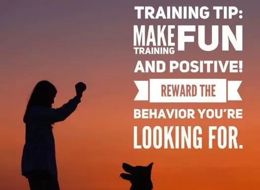 Reward the Behavior You’re Looking For