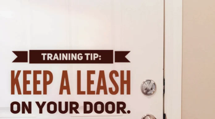 TRAINING TIPS With Mary Green