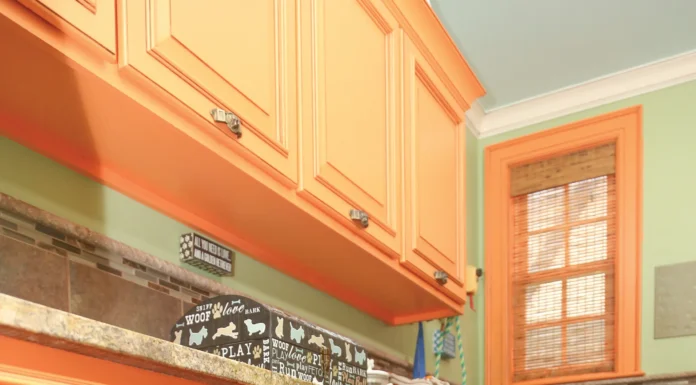 Life in the Dog House