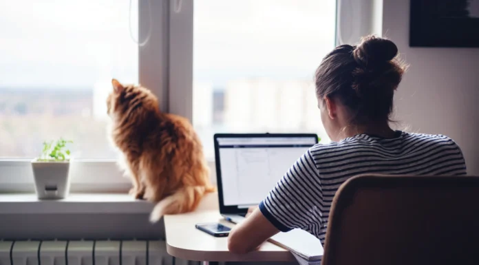 Post-Pandemic Separation Anxiety