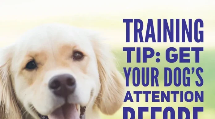 TRAINING TIPS WITH Mary Green