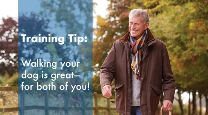 Walking your dog is great—for both of you!
