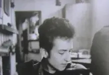 Meowin’ in the Wind