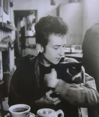 Meowin’ in the Wind