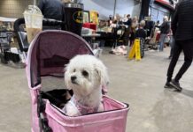 Sniffing Out Treasures