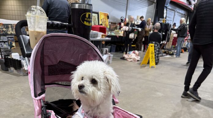 Sniffing Out Treasures