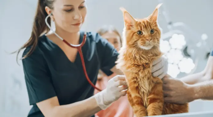 Picking the Best Provider