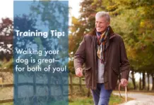 Active Seniors, Active Dogs