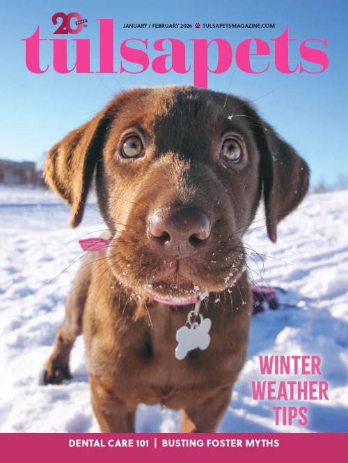 01_TulsaPets_JanFeb2026_page-0001