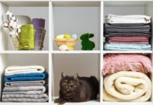 The Organized Pet Life