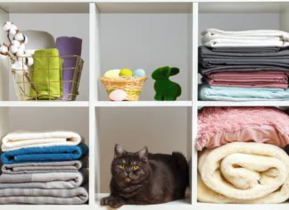 The Organized Pet Life
