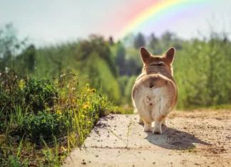 A Compassionate Goodbye