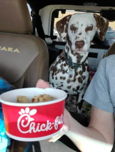 A random car ride ending in Chick-fil-A nuggets for Brooke.