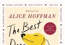 Summer Reads for Animal Lovers BestDogBook