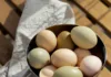 A First Step Toward Urban Homesteading Eggs stockUnsplash