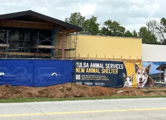 Adopting a New Attitude ShelterC